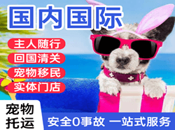 漠河古莲航空货运国际宠物托运 【国